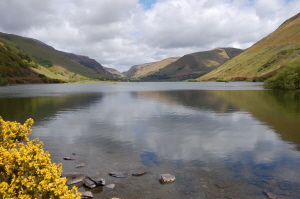 tal y llyn